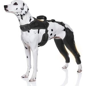 Adjustable Dog Knee Brace – ACL Joint Support Wrap for Hind Leg Injury, Size L